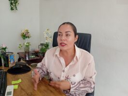 Ante la Fiscalía caso de una mujer que presuntamente desvivió a un pitbull tras atacar a su mascota