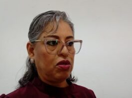 Docentes vulnerables ante acusaciones falsas