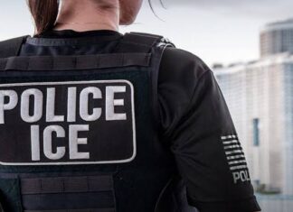 Los arrestos de ICE vacían campos y obras del sur de Texas y amenazan el voto republicano