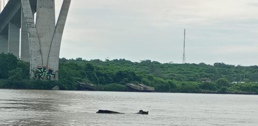 Permanente monitoreo del río Pánuco, cuyo nivel actual es de 3.82 metros